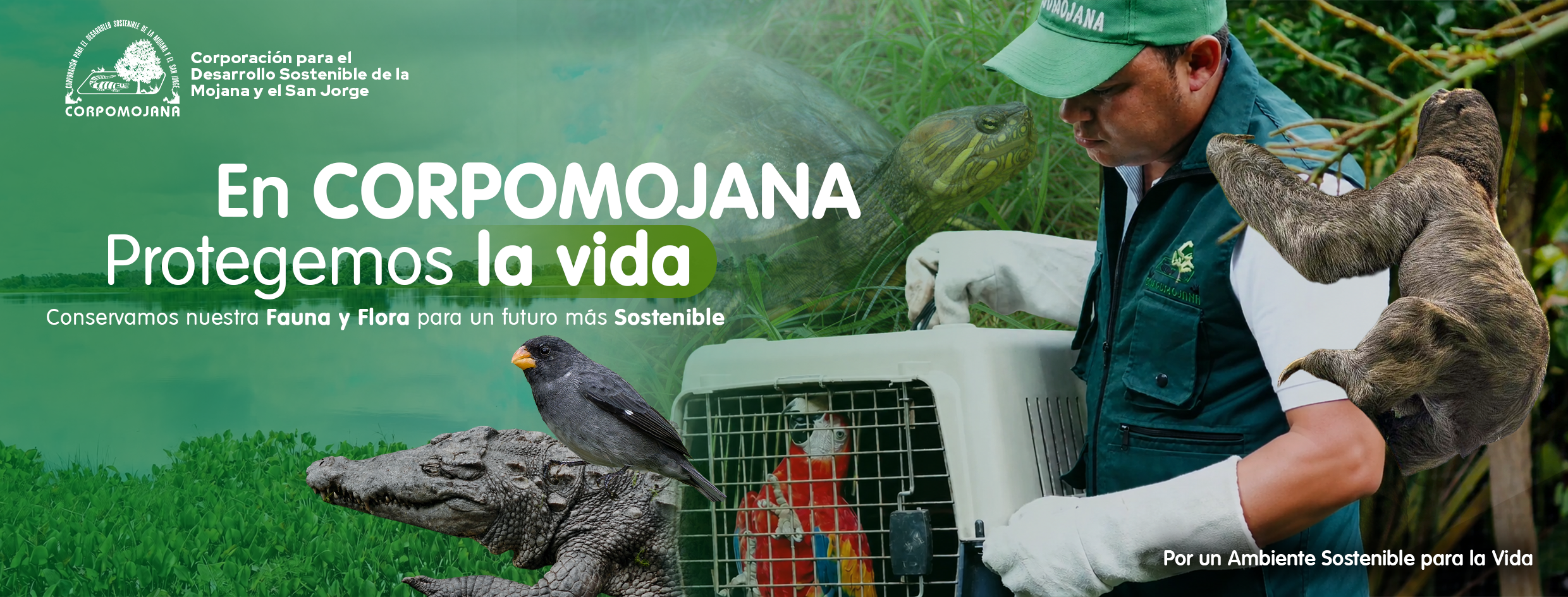 En Corpomojana Protegemos la Vida